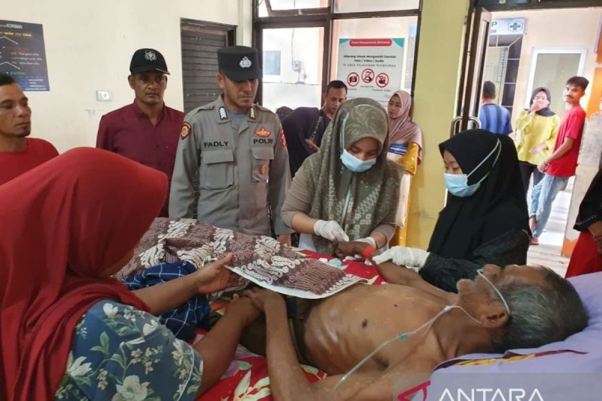 Warga Pidie Aceh selamat dari amukan amukan gajah liar