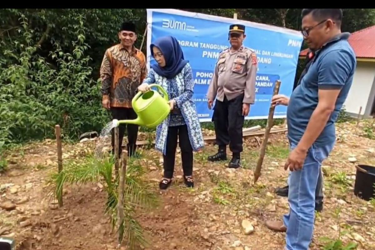 PNM Padang bantu cegah longsor dengan gerakan tanam pohon pelindung