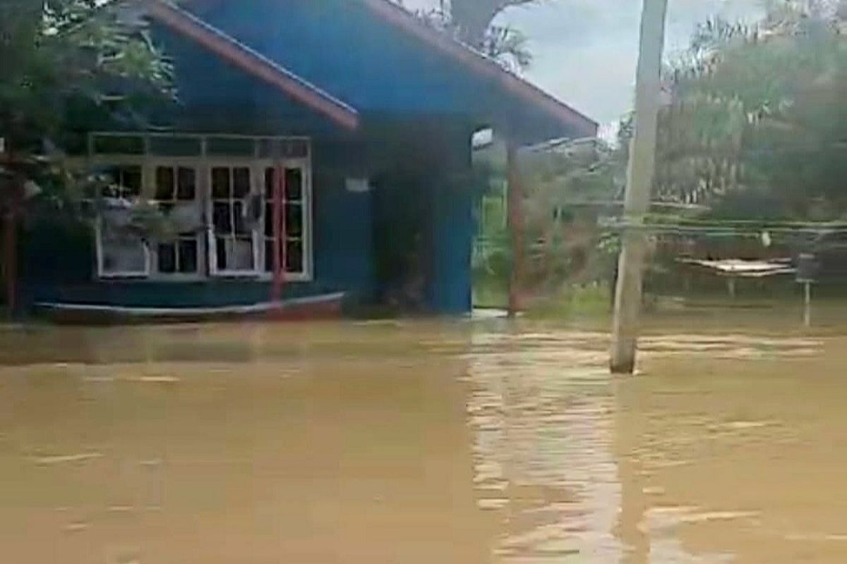 Kedalaman banjir di wilayah utara Kotim capai 1,5 meter
