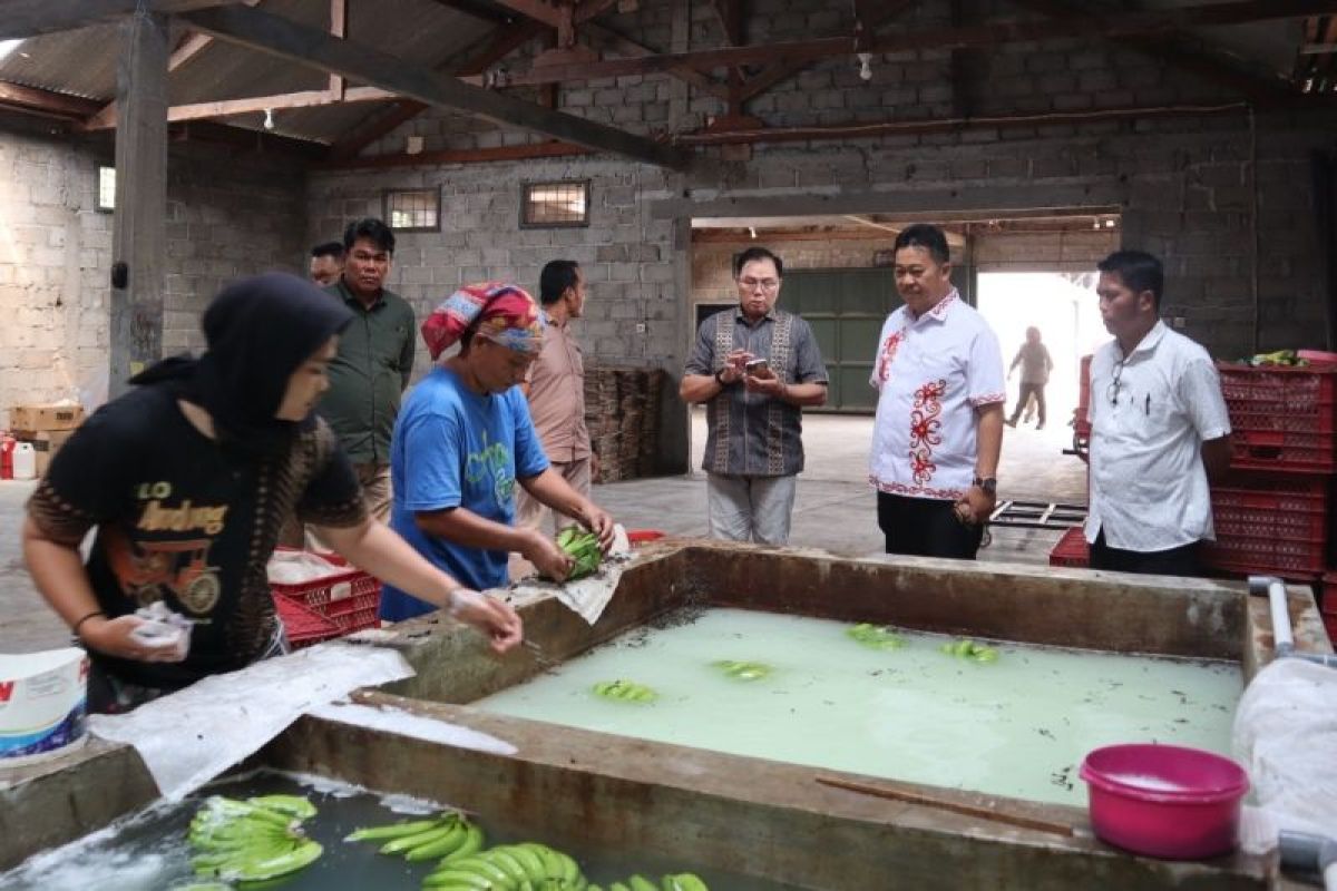 Kaltara belajar budi daya pisang Cavendis di Pasuruan