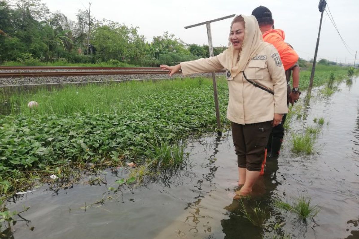 Sejumlah wilayah di Kota Semarang tergenang banjir