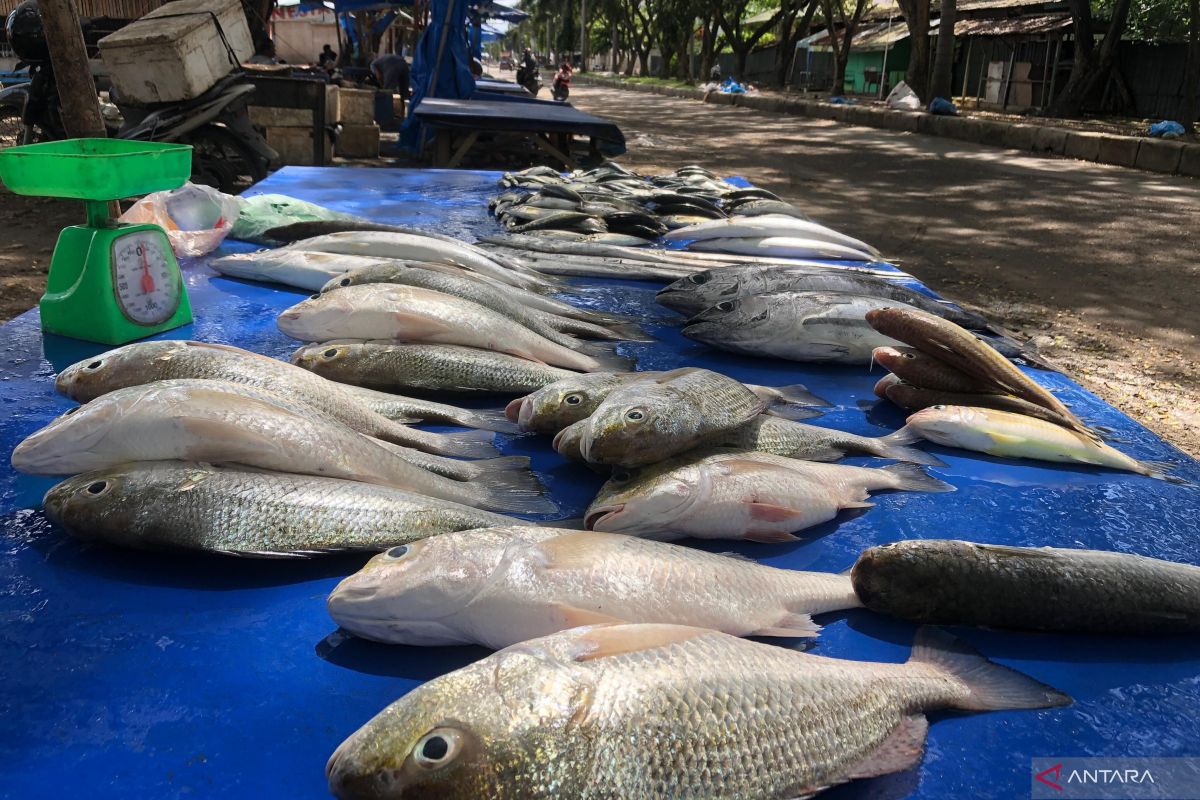 Terkendala melaut karena angin kencang, harga ikan di Lhokseumawe naik