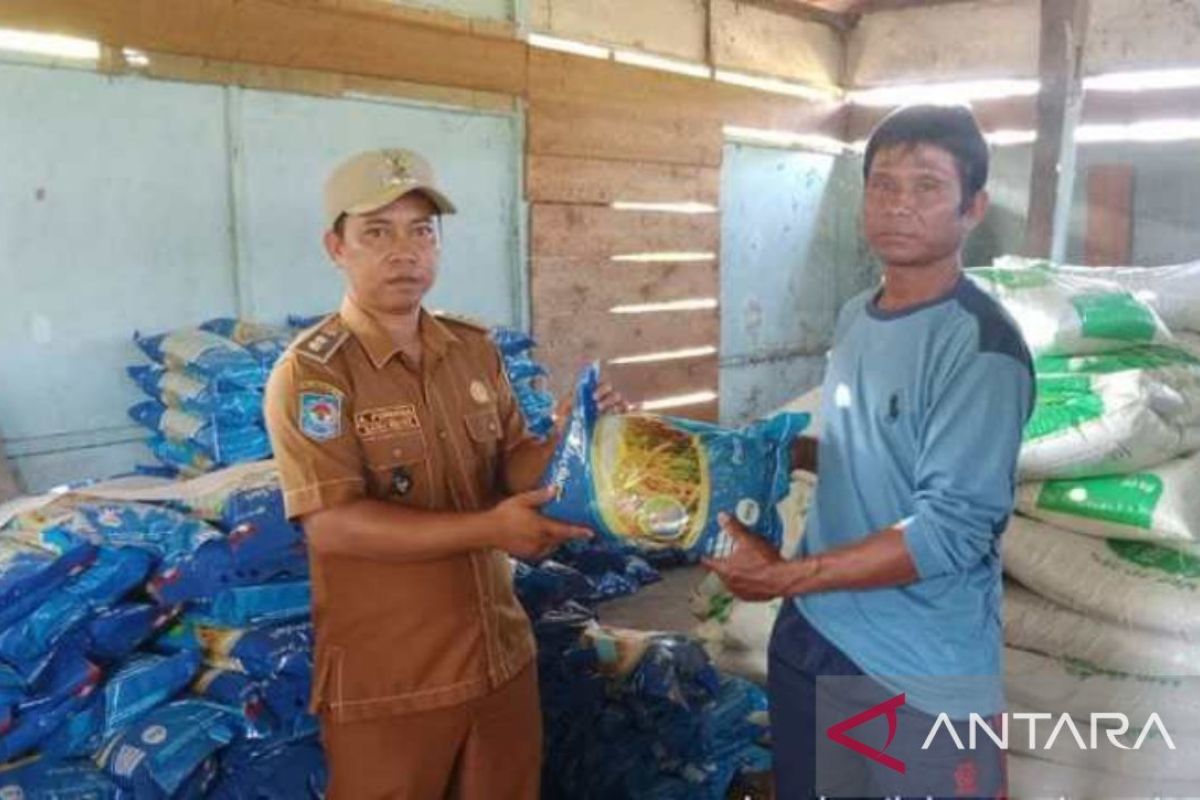 Pemkab Buru  Maluku bagikan 4,4 ton benih padi di Desa Waetele