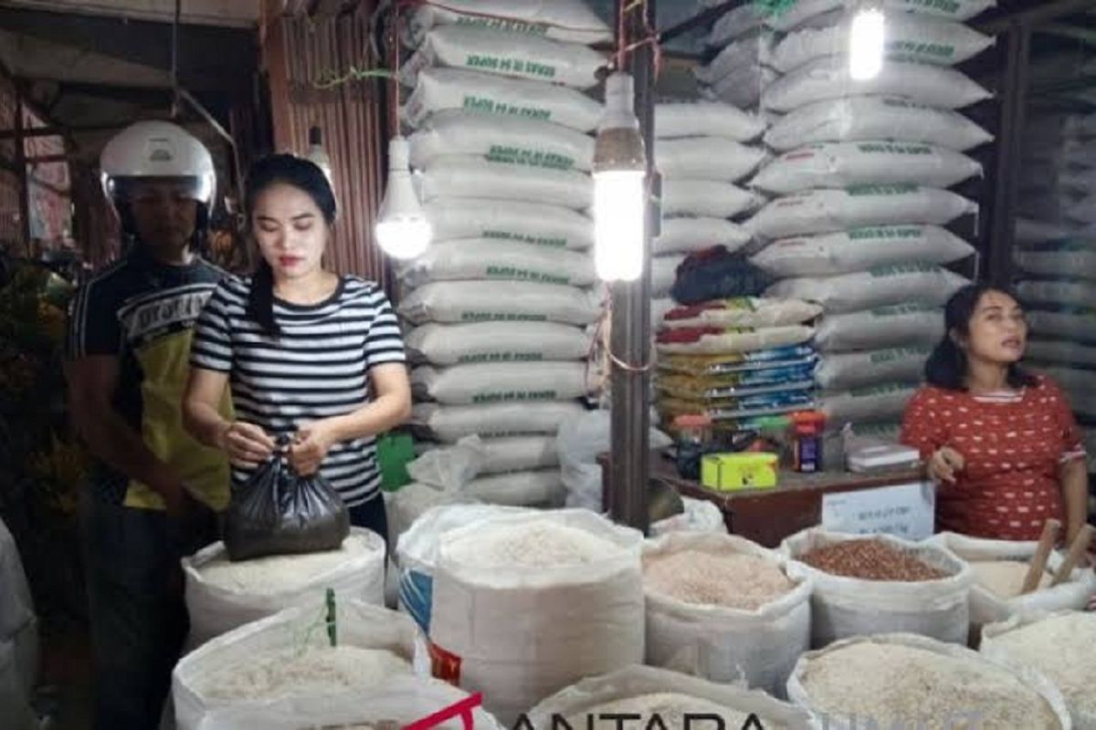 Produksi gabah Pesisir Selatan melonjak, harga beras tetap tak bergeming