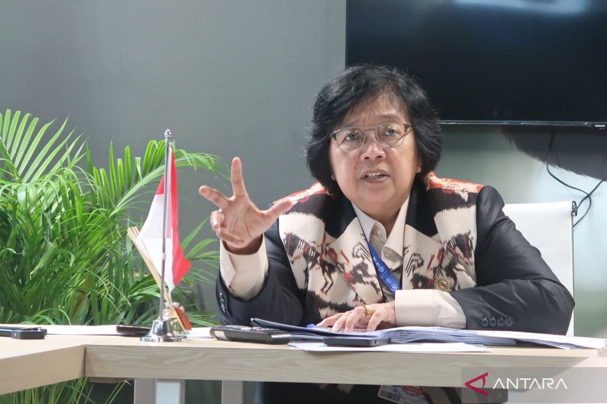 Menteri Siti: Langkah Indonesia atasi perubahan iklim sudah konkret