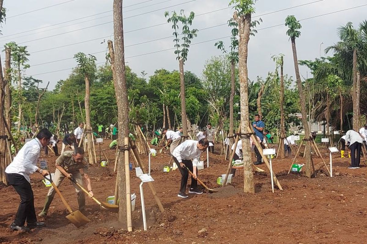 Presiden Jokowi serukan gerakan tanam pohon bertepatan musim hujan