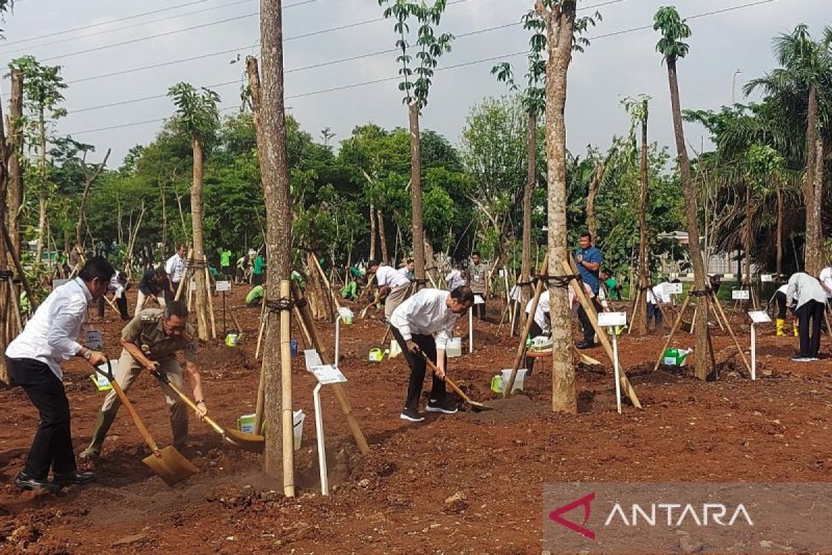 Presiden Jokowi serukan gerakan tanam pohon bertepatan musim hujan