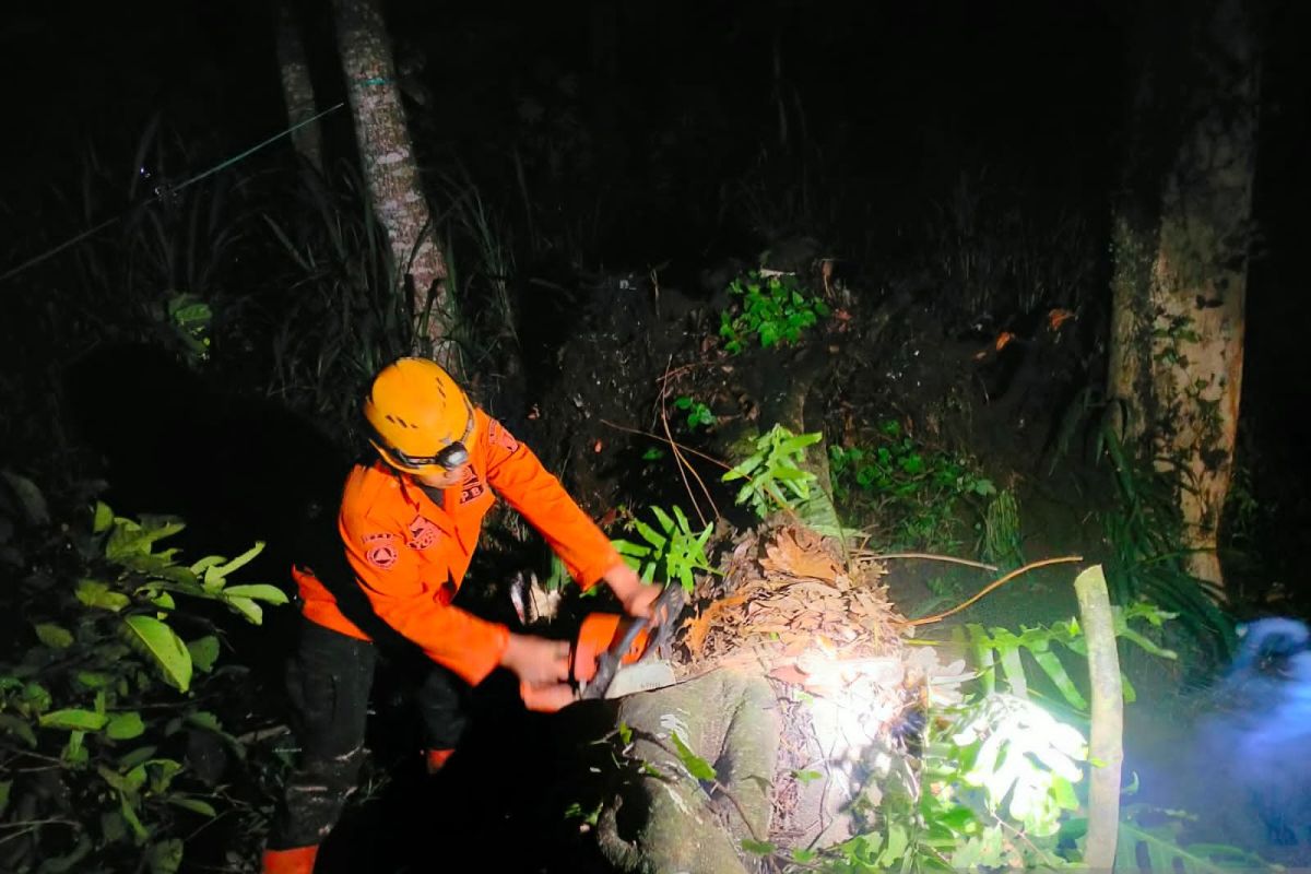 Aparat gabungan atasi pohon tumbang tutup jalan di Sukabumi