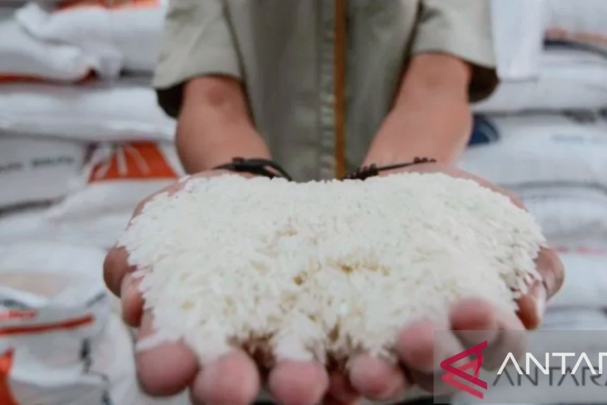 Analis ragukan efektivitas kebijakan impor beras meredam kenaikan harga