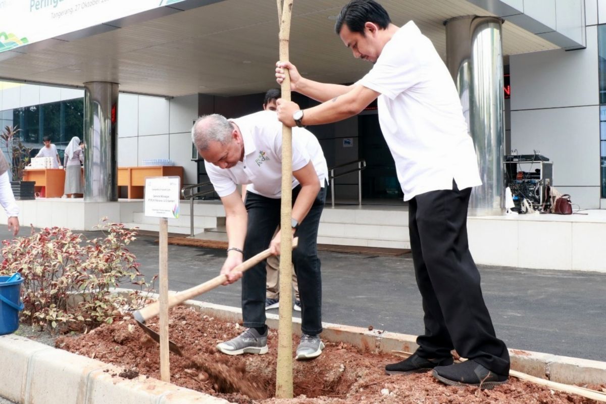 PLN Banten tanam pohon produktif  di 13 titik lokasi