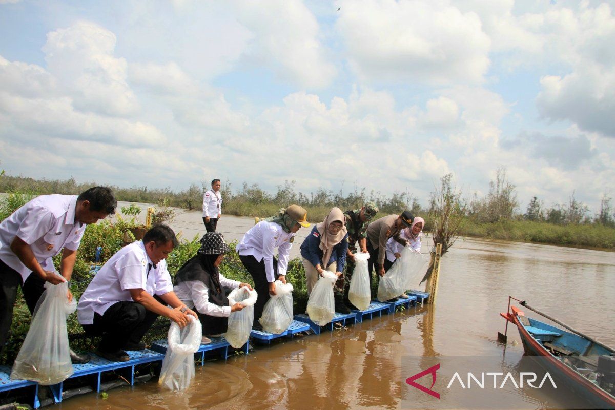 Penjabat Wali Kota: Restocking untuk tingkatkan populasi ikan tangkap