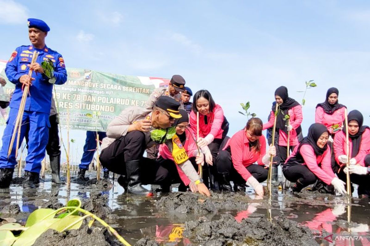 Forkopimda Situbondo kolaborasi bersama tanam 1.000 bibit mangrove
