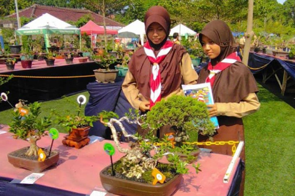 DKP Tangerang beri edukasi rawat bonsai kepada ratusan pelajar