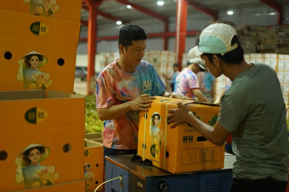 Perdagangan produk pertanian luar negeri China alami peningkatan