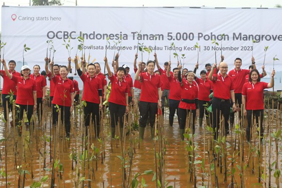 OCBC Indonesia Tegaskan Komitmennya dalam Melestarikan Lingkungan Hidup dengan Menanam Mangrove