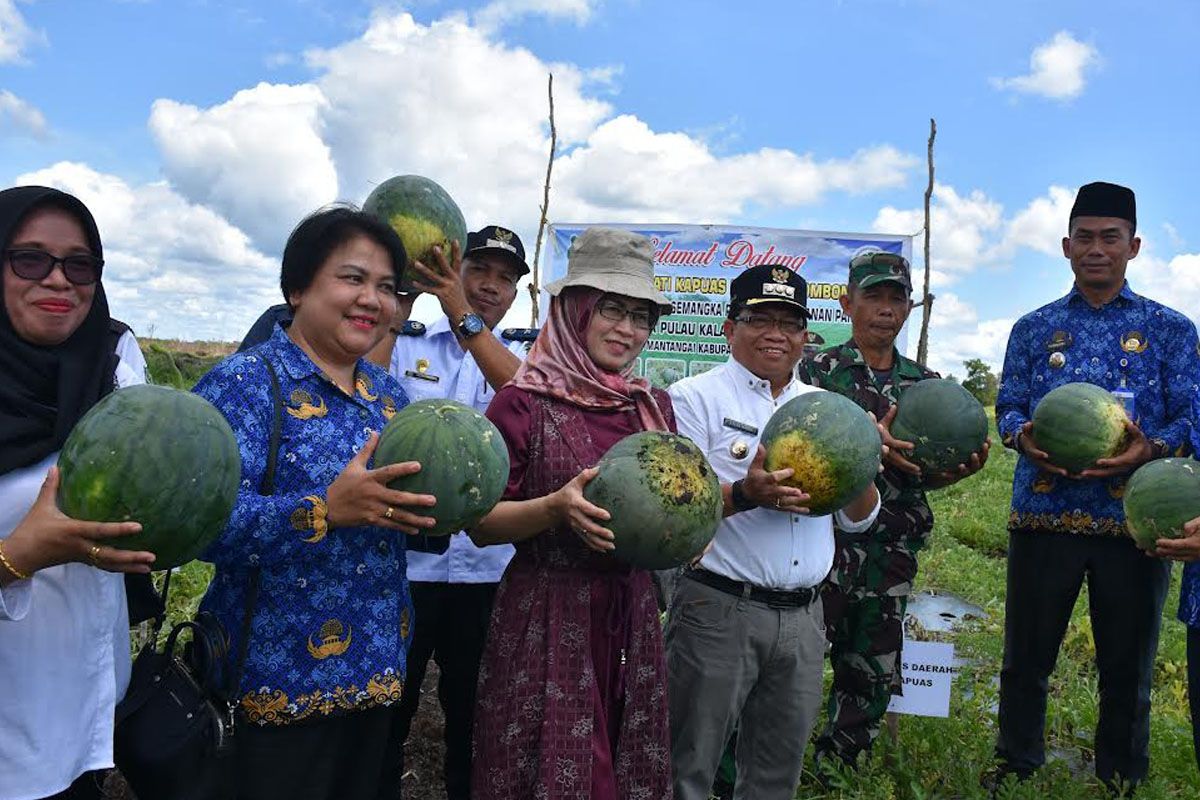 Pemkab Kapuas dorong Desa Pulau Kaladan manfaatkan lahan sebagai penghasilan