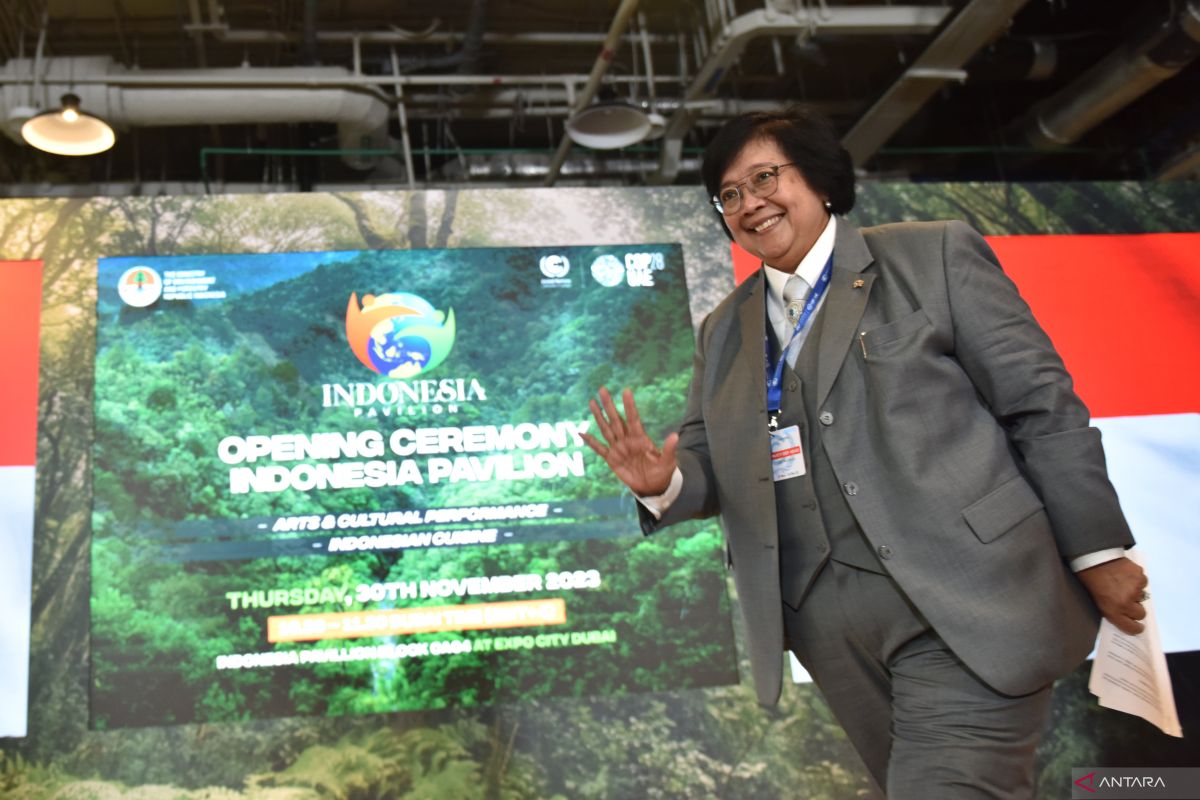 Indonesia's forestry to offset energy sector emissions: Minister