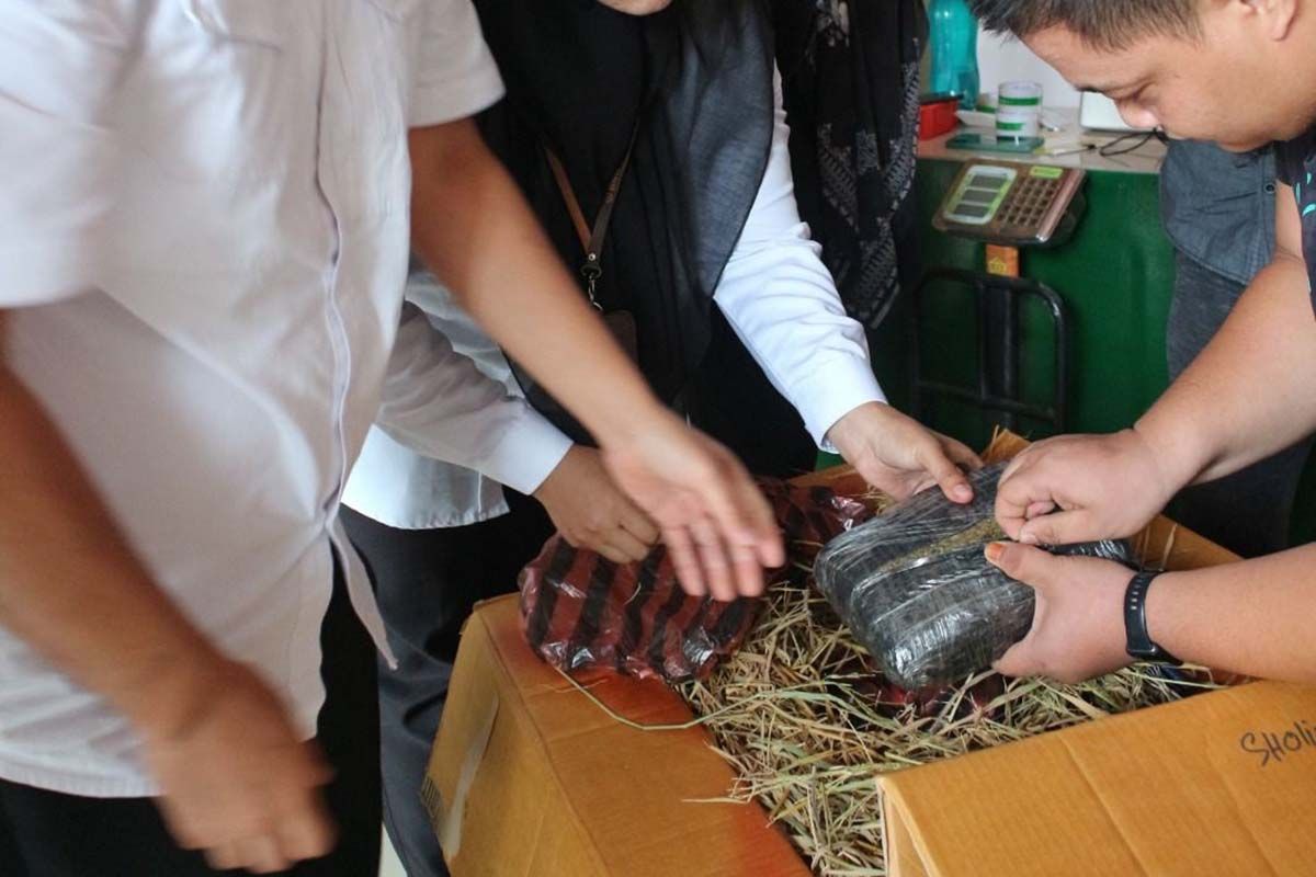 BNN gagalkan pengiriman 80 kilogram ganja ke luar Aceh lewat jasa ekspedisi