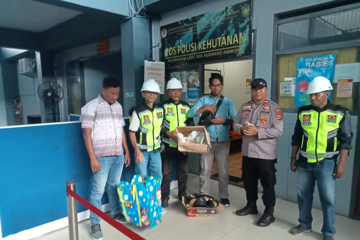 BKSDA Maluku  amankan 11 ekor satwa dilindungi di Pelabuhan Ambon