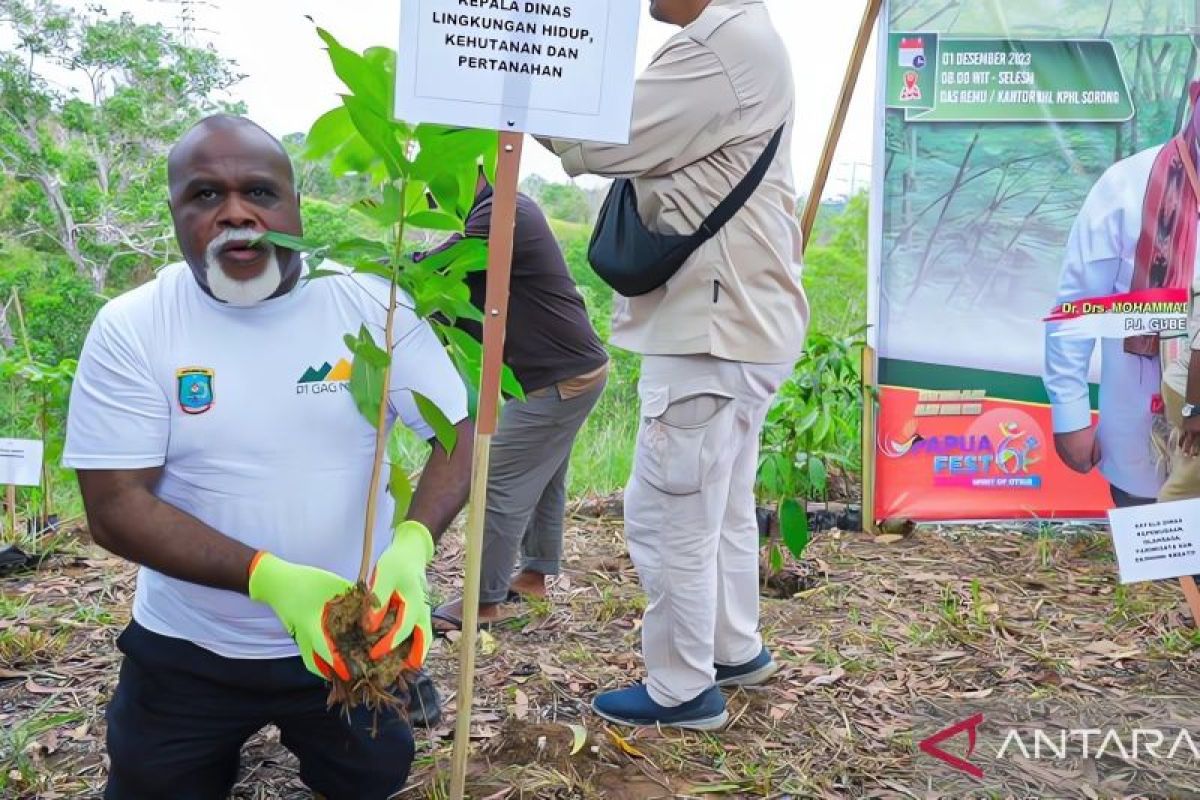 Papua Barat Daya tanam 1.000 pohon sebagai aksi mitigasi perubahan iklim