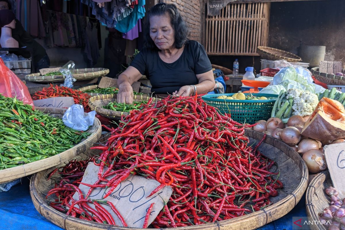 BPS: Inflasi cabai merah Sumut  50,03 persen sampai November 2023