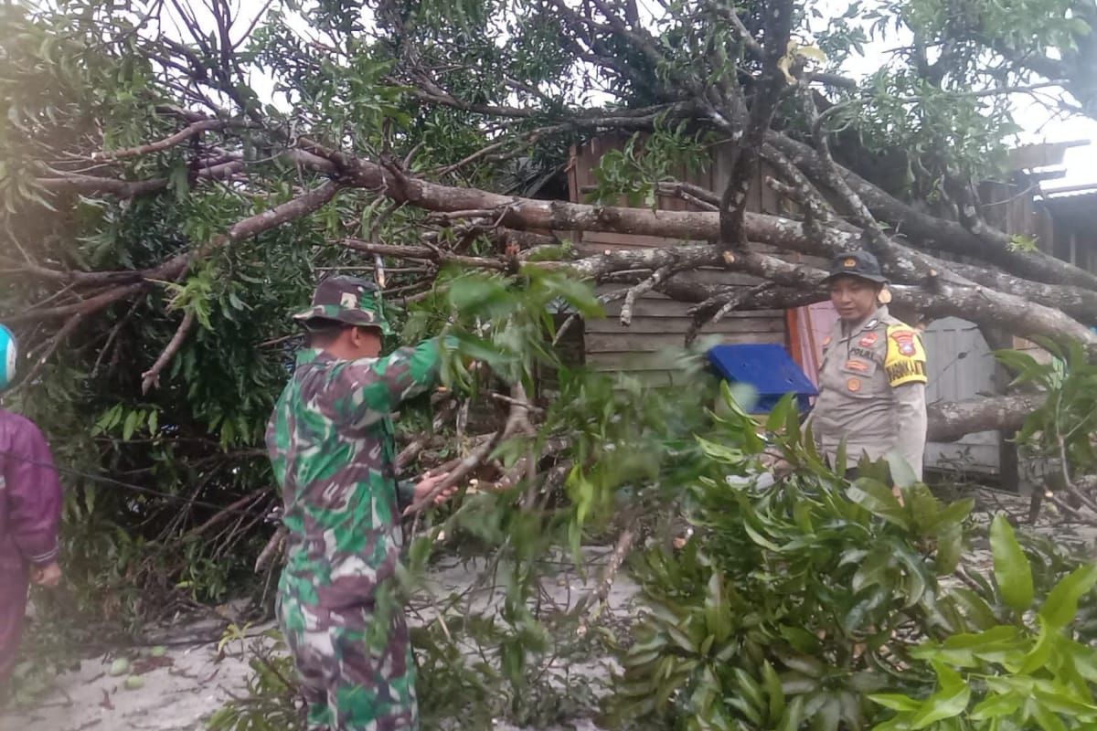 Sejumlah rumah rusak dan pohon tumbang akibat cuaca ekstrem di Natuna
