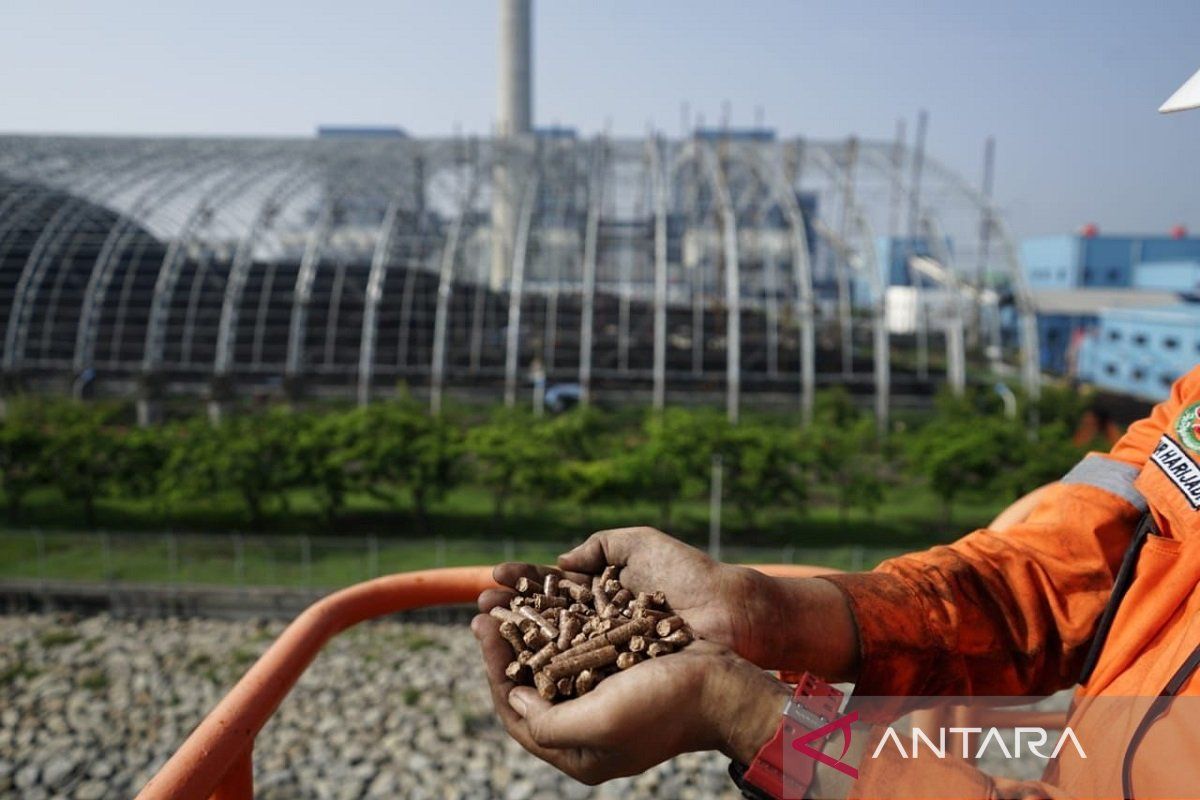 Di COP28 Dubai, PLN-Kemenkomarves luncurkan program STAB dan PERTIWI, kembangkan biomassa di Tanah Air