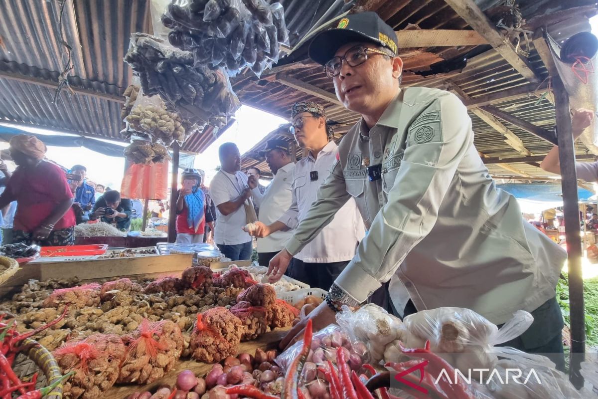 Deputy Minister Inspects food supply at West Papua's Wosi Market