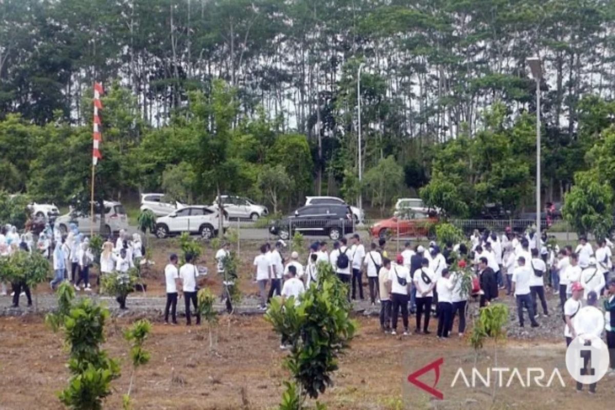 BWS Kalimantan III tanam 4.500 bibit pohon endemi