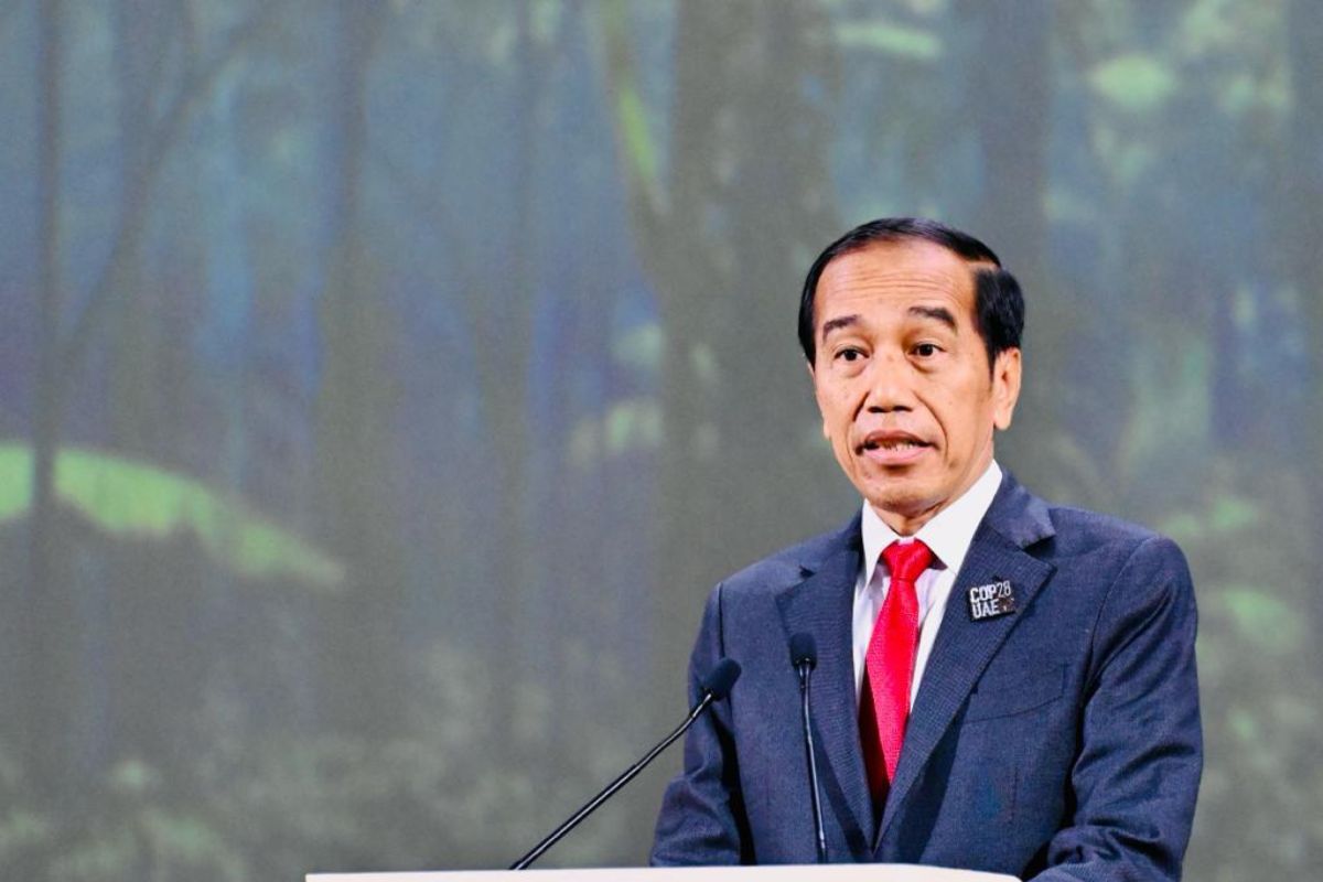 Presiden Jokowi paparkan langkah Indonesia capai penyerapan karbon hutan