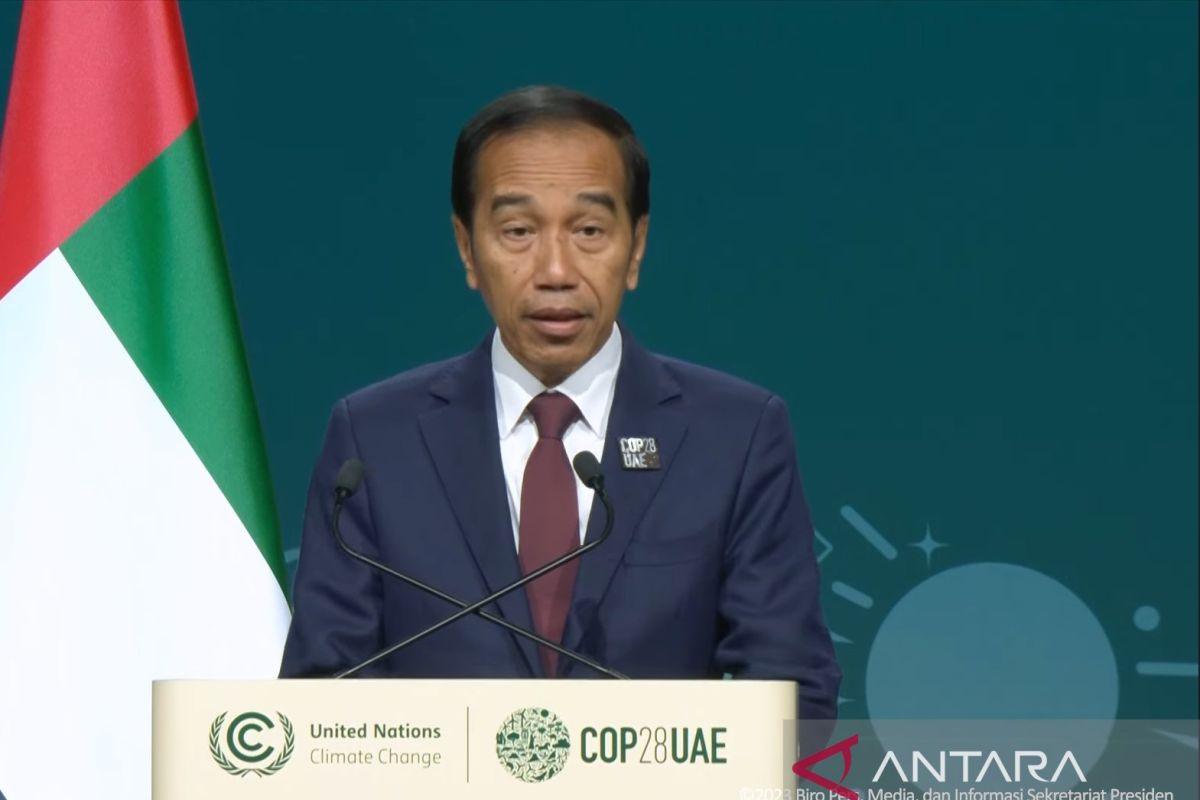 Presiden Jokowi sebut RI butuh investasi untuk wujudkan emisi nol bersih 2060
