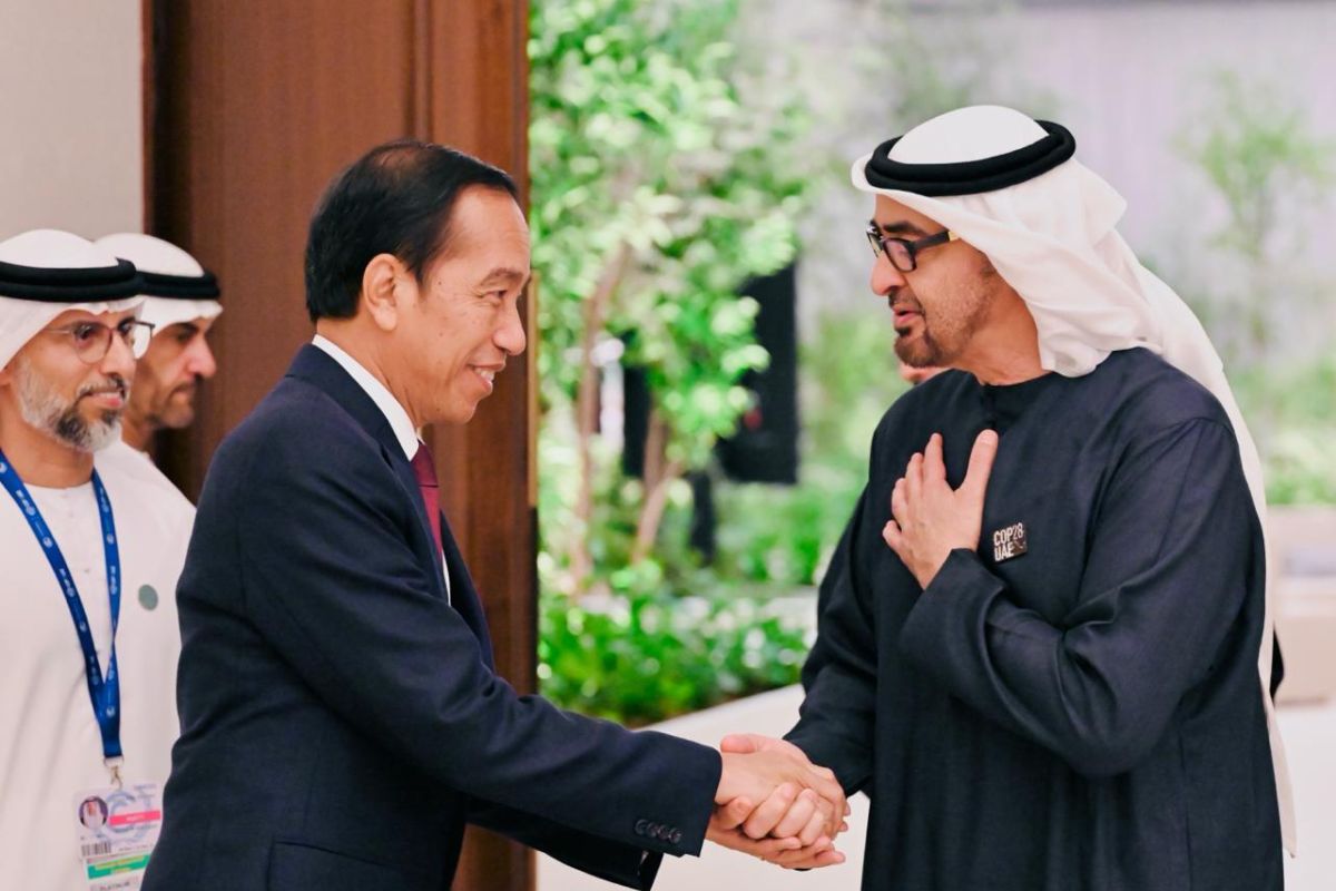 Jokowi discusses bilateral cooperation with UAE President in Dubai