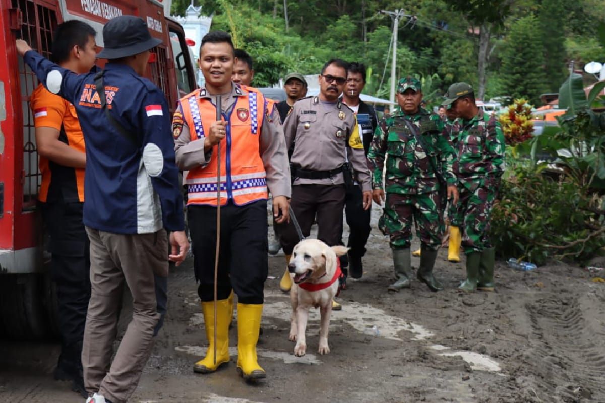 Anjing pelacak dikerahkan cari korban banjir bandang