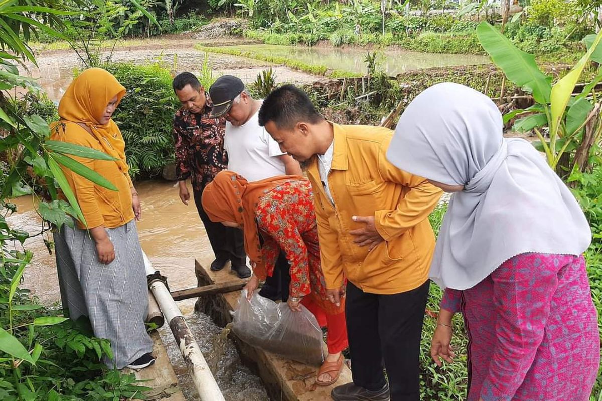 Jaga populasi Diskan Sukabumi gencar lepasliarkan benih ikan lokal di aliran sungai