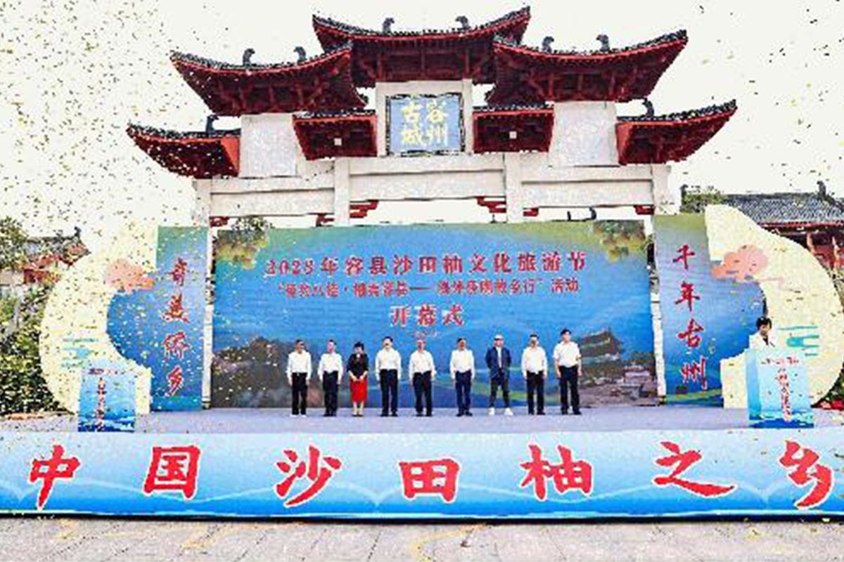 "Rumah Jeruk Pomelo Shatian di China" - Kabupaten Rong di Guangxi Mendorong Peningkatan dan Pembaruan