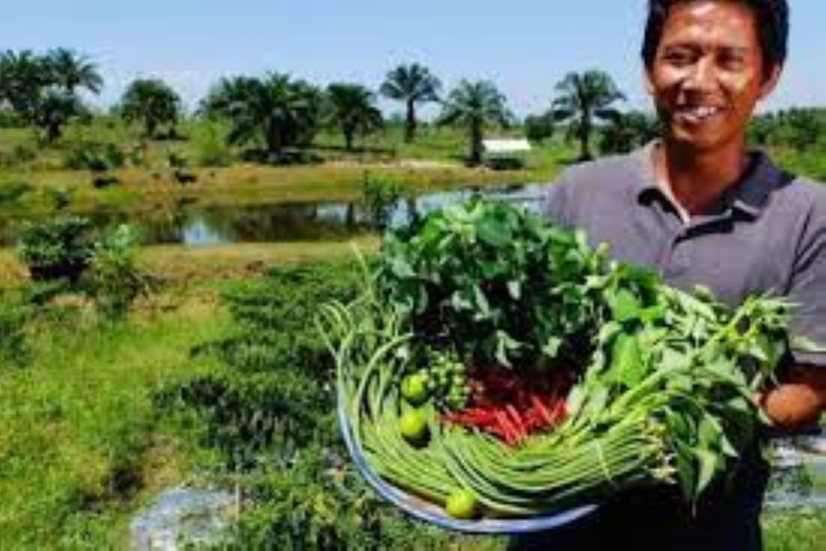 Ekonomi Riau tumbuh lebih target 0,27 persen