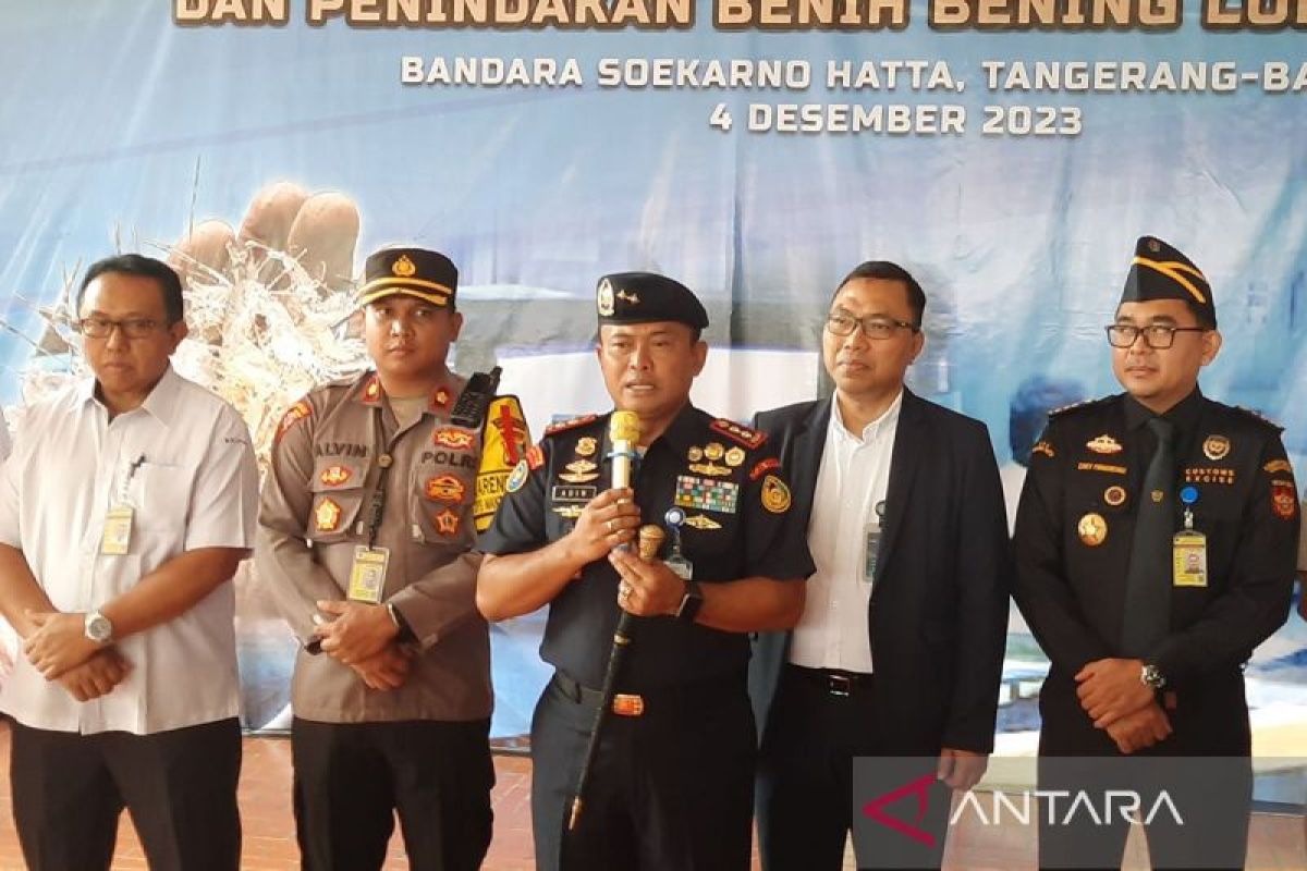 KKP gelar operasi pencegahan penyelundupan BBL di Bandara Soetta