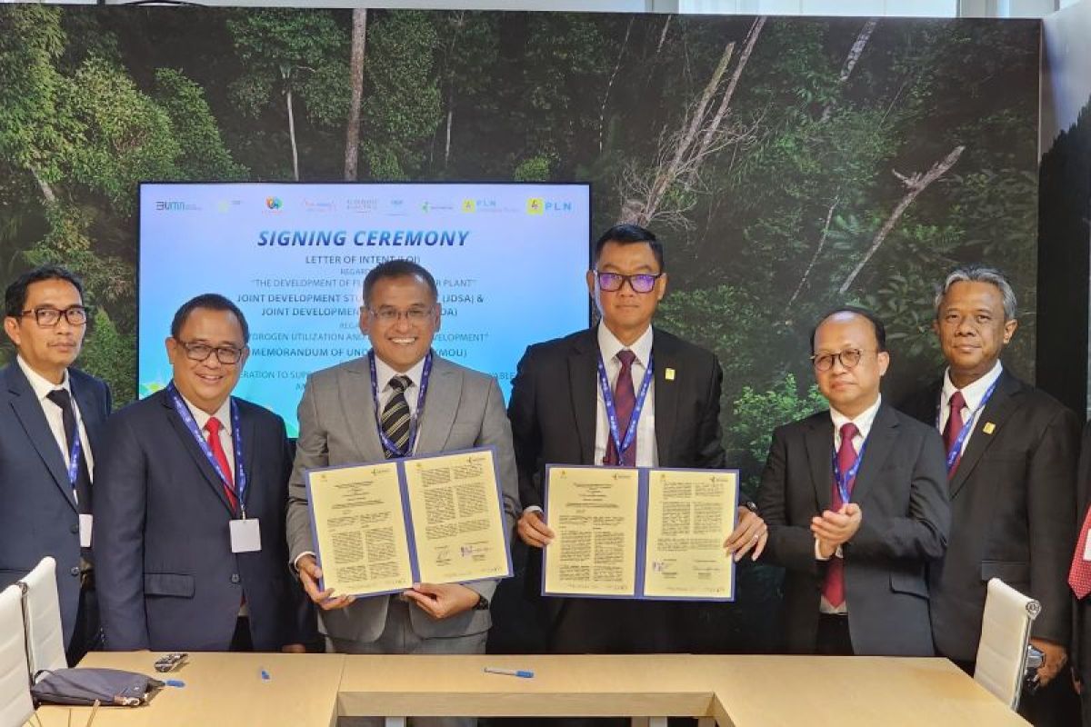 Pupuk Indonesia-PLN teken perjanjian studi pengembangan green ammonia