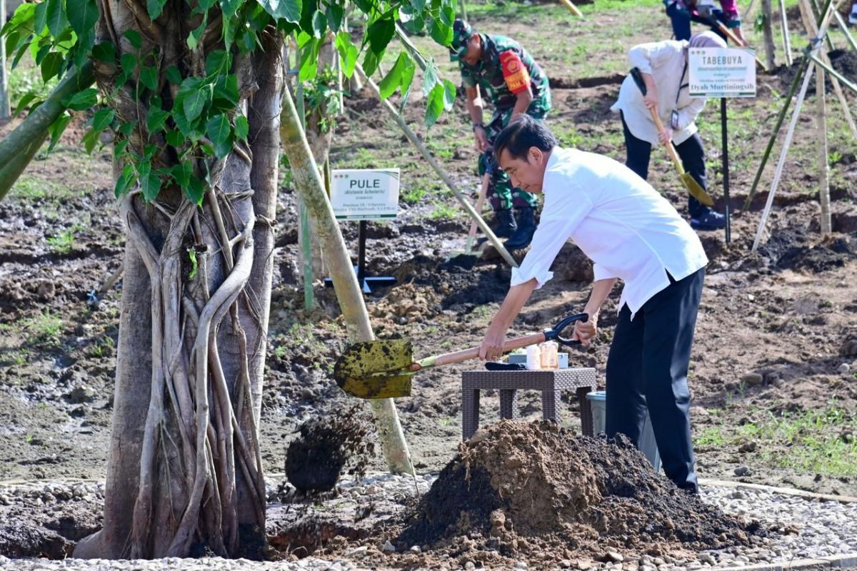 Presiden RI dan warga Embung Anak Munting NTT tanam pohon