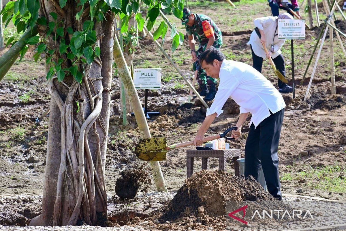 Presiden Jokowi tanam pohon bersama masyarakat Embung Anak Munting NTT