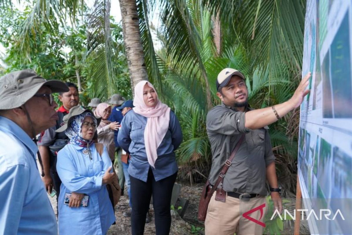 Rehabilitasi mangrove di Kaltim demi mitigasi perubahan iklim