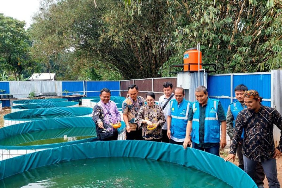 PLN Banten berikan pelatihan olahan dan budidaya ikan di Tangerang