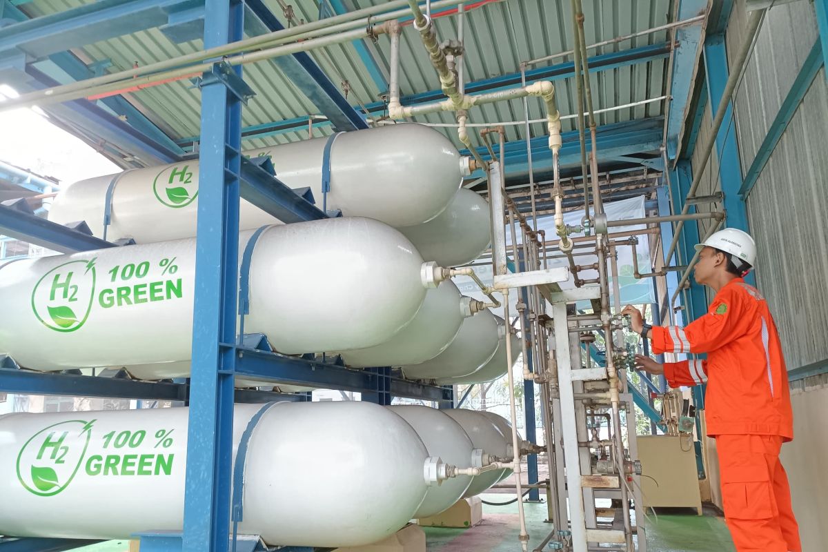 PLN dan Pupuk Indonesia gandeng ACWA Power kembangkan industri hidrogen hijau terintegrasi