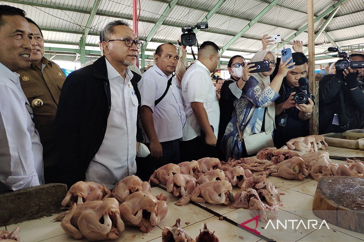 Mendag Zulkifli Hasan sebut harga bahan pangan di Lampung cenderung stabil