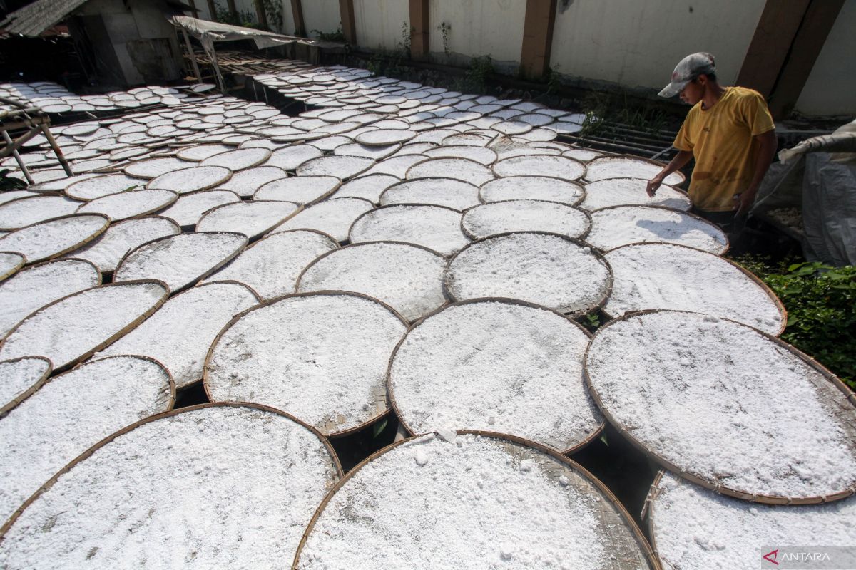 8 manfaat tepung tapioka untuk kesehatan dan kulit, simak faktanya