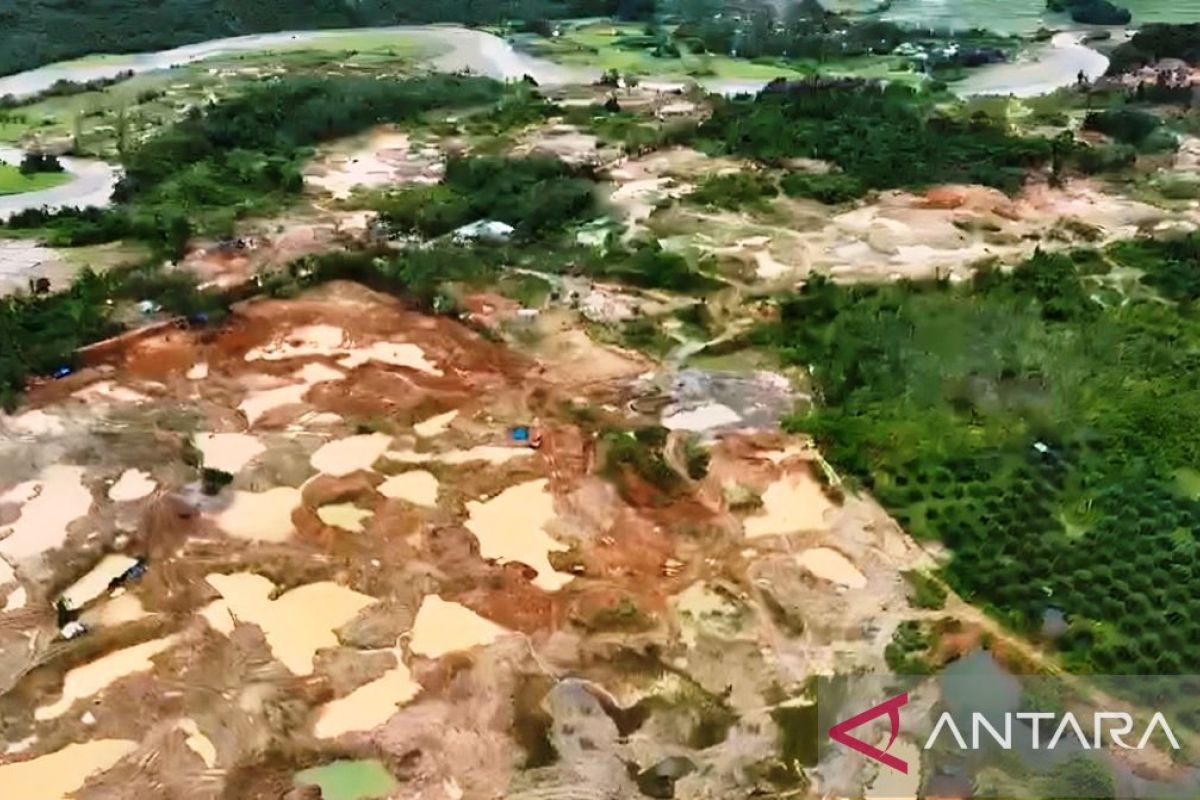 Apel Green laporkan aktivitas tambang ilegal Nagan Raya ke Gakkum KLHK