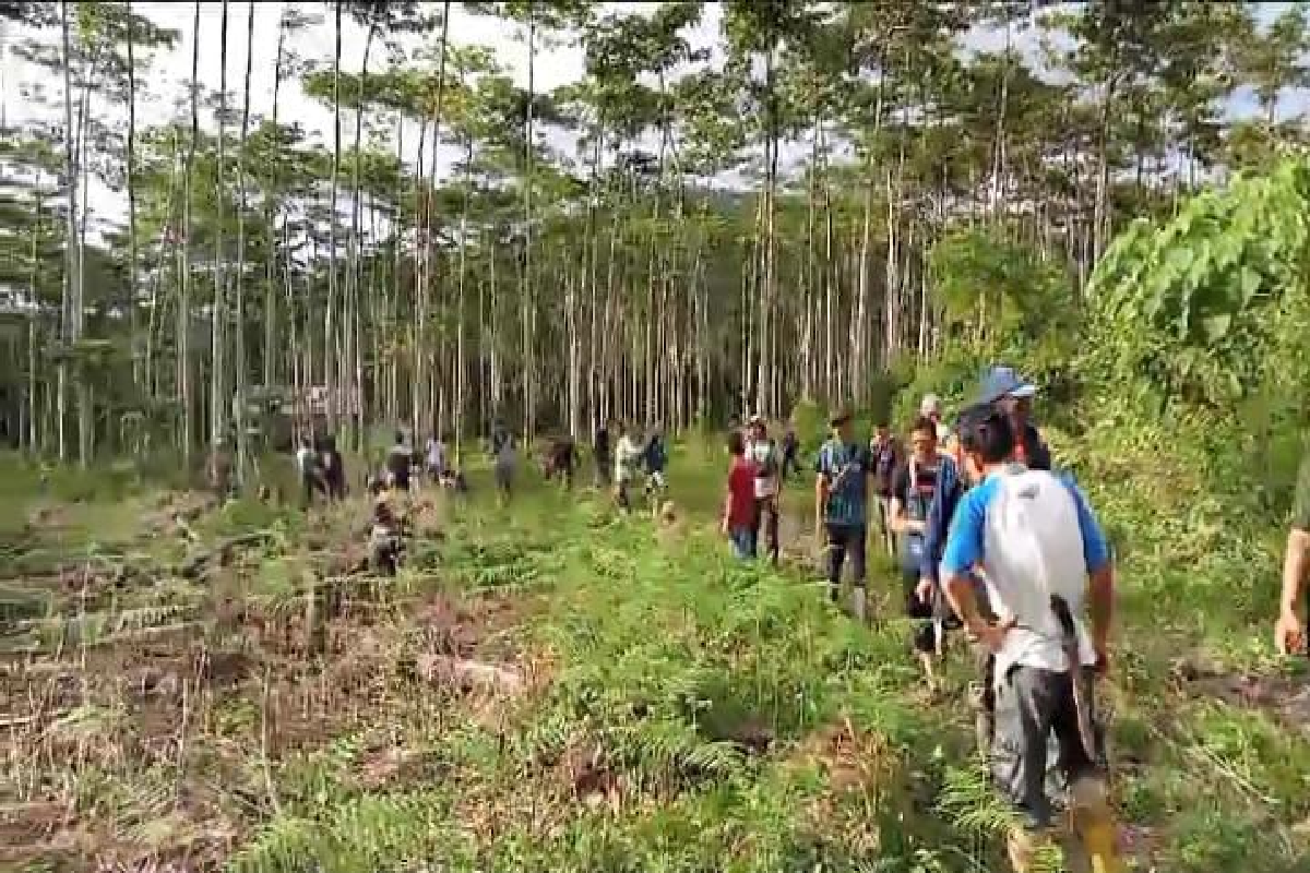 Komnas HAM sebut tiga dugaan pelanggaran dalam konflik manusia dan gajah