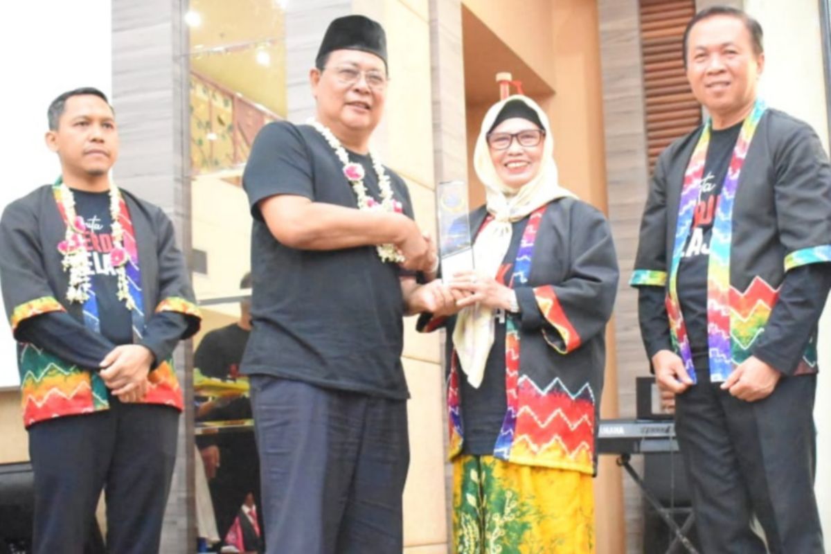 Tapin wins four awards from South Kalimantan BPMP