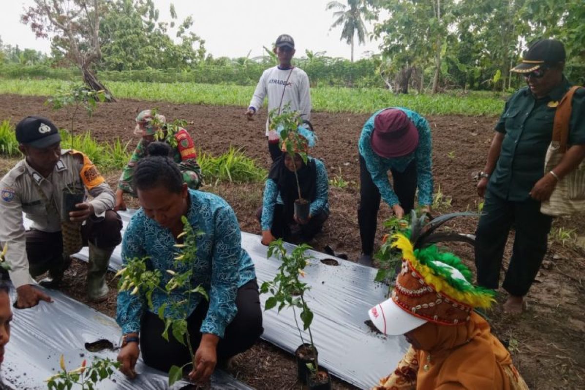 Pemprov Papua: Sensus Pertanian 2023 menjadi pedoman perumusan kebijakan
