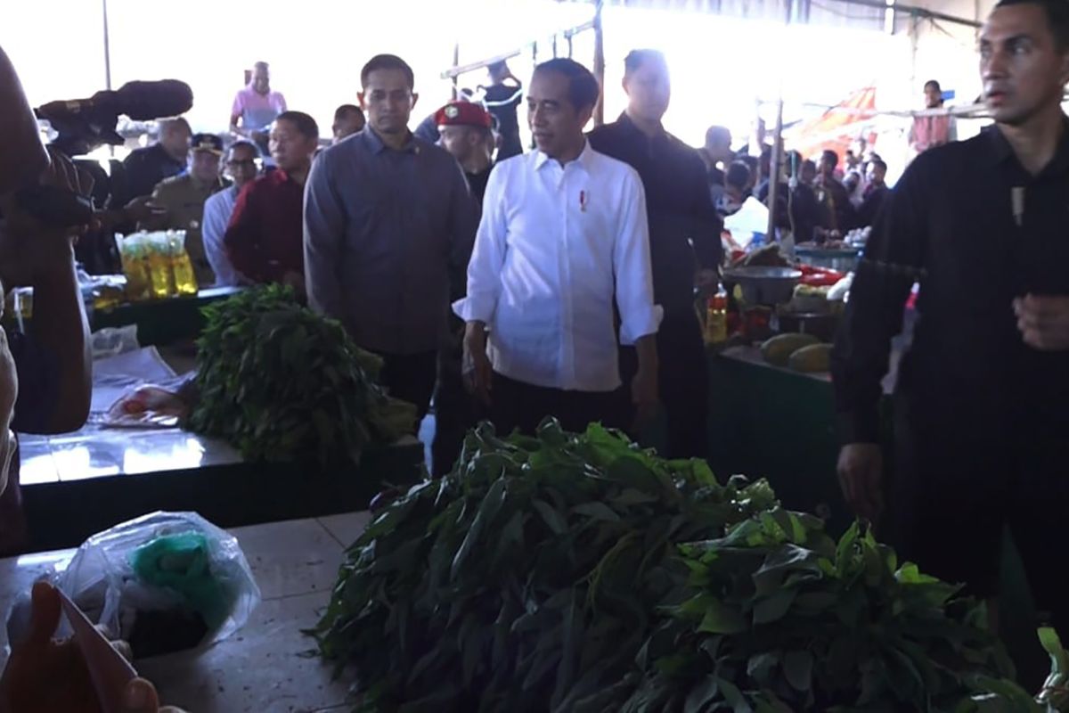 Presiden Jokowi cek harga kebutuhan pokok di Kupang